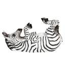 Wine Rack Zebra Black 32x12x18 cm