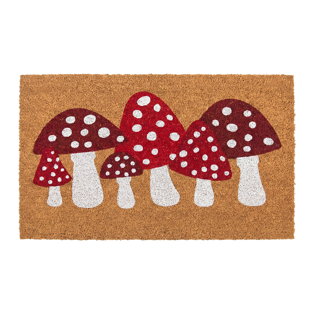 Deurmat 75x45x1 cm