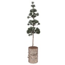 Deko Baum Grün Braun 14x14x60 cm