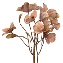 Artificial Flower Beige 12x8x72 cm