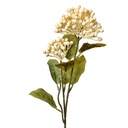 Fleur artificielle Beige Vert 8x7x53 cm