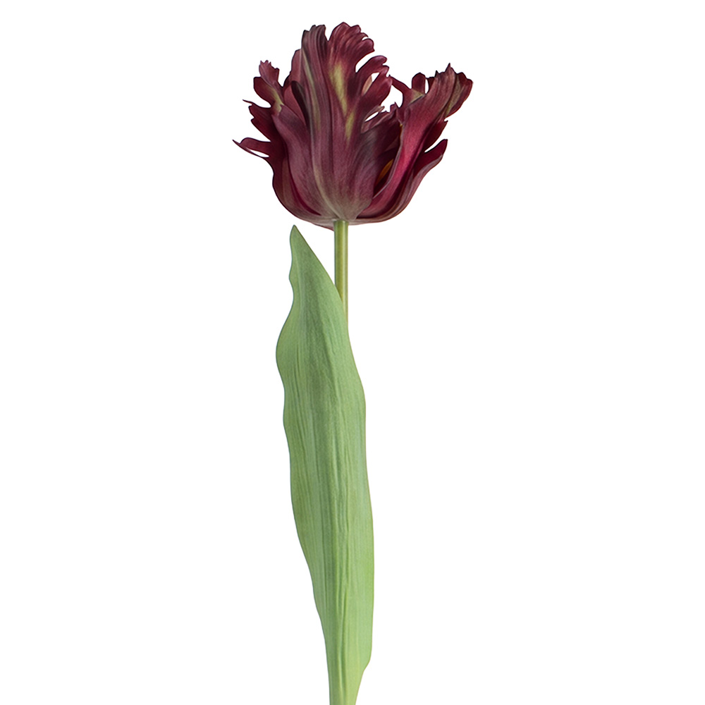 Decoratie tak met bloemen 61 cm