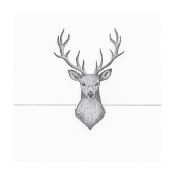 [73089] Papierservietten 33x33 cm (20)