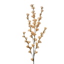 Deko Ast mit Blumen Beige 6x6x102 cm