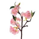 Branche de décoration avec fleurs Rose Blanc 16x8x38 cm