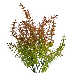 [6PL0253] Decoratie tak 10x10x40 cm