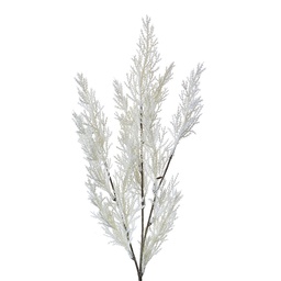 [5PL0054] Decoratie tak 8x8x75 cm