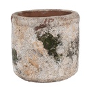 Flower Pot Inside Beige Green Ø 12x11 cm