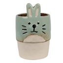 Vaso Porta Pianta Verde Beige Ø 11x17 cm