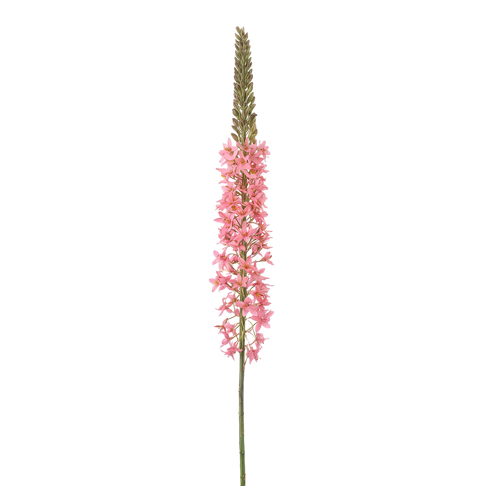 Dekorativer Zweig mit Blumen Rosa Grün