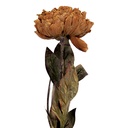 Kunstbloem 10x10x65 cm