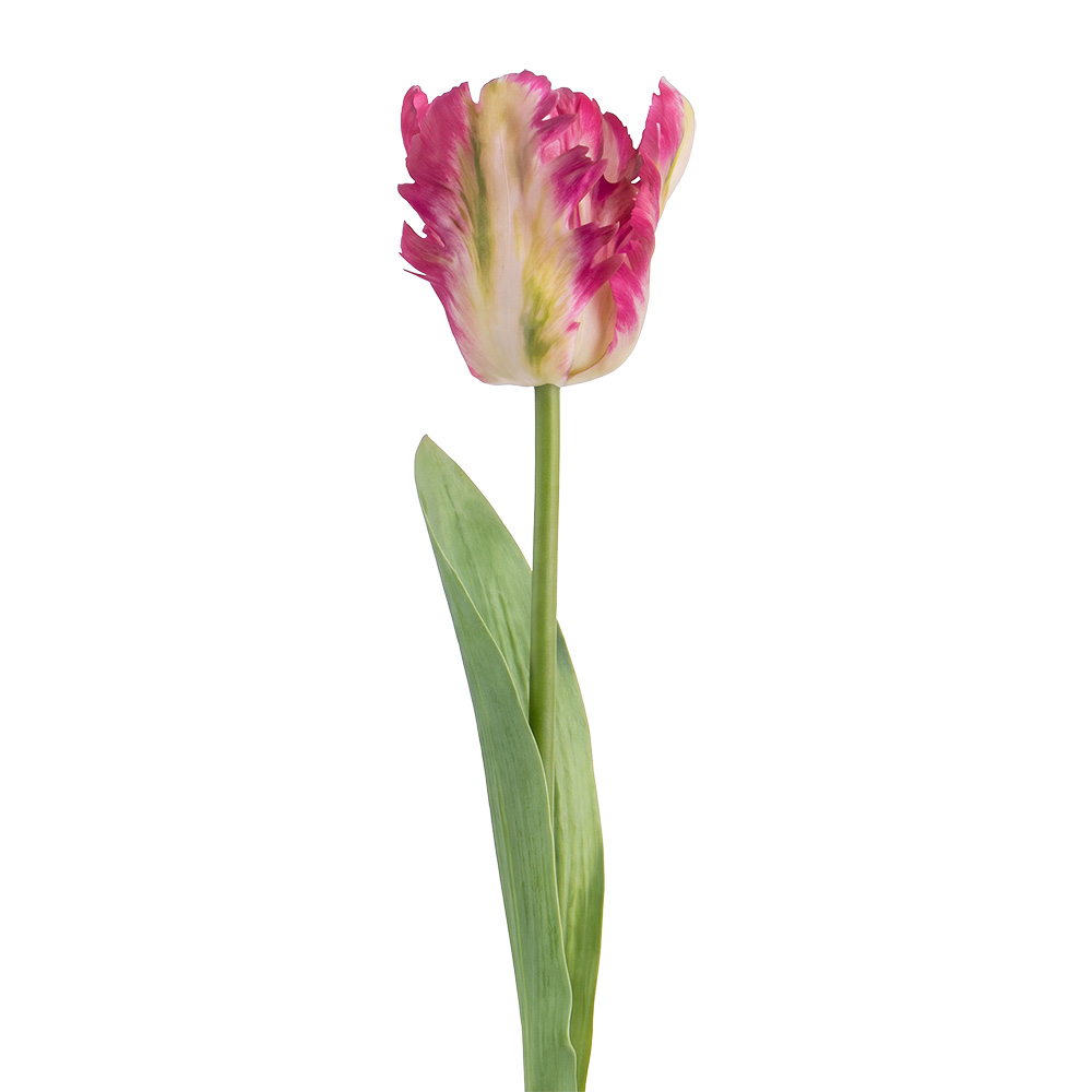 Decoratie tak met bloemen 61 cm