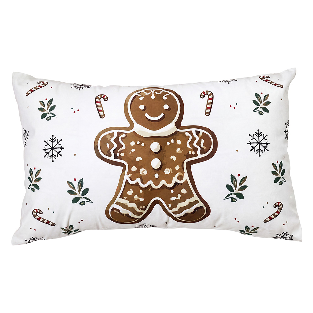 Coussin rempl Beige Marron 30x50x4 cm