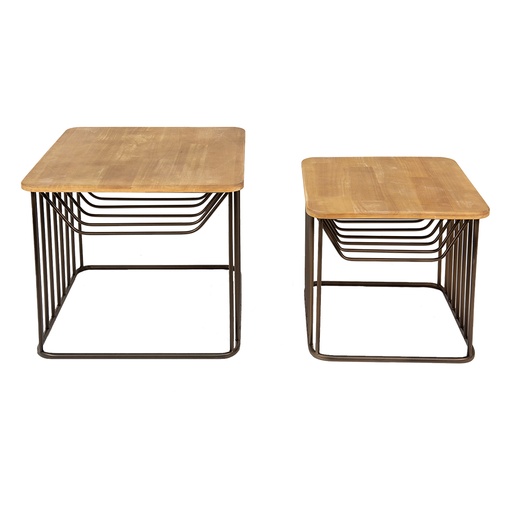 Bijzettafel (set van 2) 53x53x44 / 42x42x38 cm