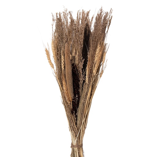 Droogbloemen 18x6x60 cm