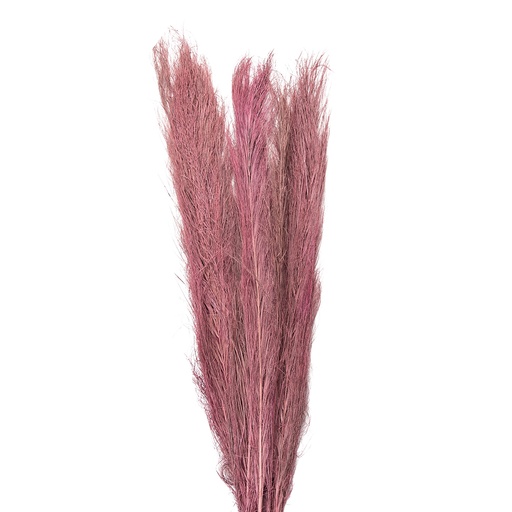 Droogbloemen 100 cm (15)