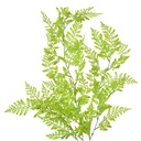 Decoratie tak 15x5x80 cm