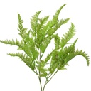 Decoratie tak 8x4x75 cm