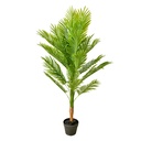 Decoratie kamerplant varen 48x48x130 cm