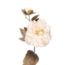 Decoratie tak met bloemen 14x17x73 cm
