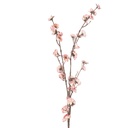 Decoratie tak met bloemen 8x15x120 cm