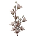 Decoratie tak met bloemen 12x15x92 cm