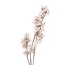 Decoratie tak met bloemen 14x16x120 cm