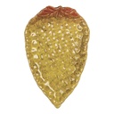 Schaaltje druiven 15x10x2 cm