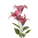 Decoratie tak met bloemen 15x10x72 cm