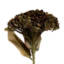 Decoratie tak met bloemen 15x15x47 cm