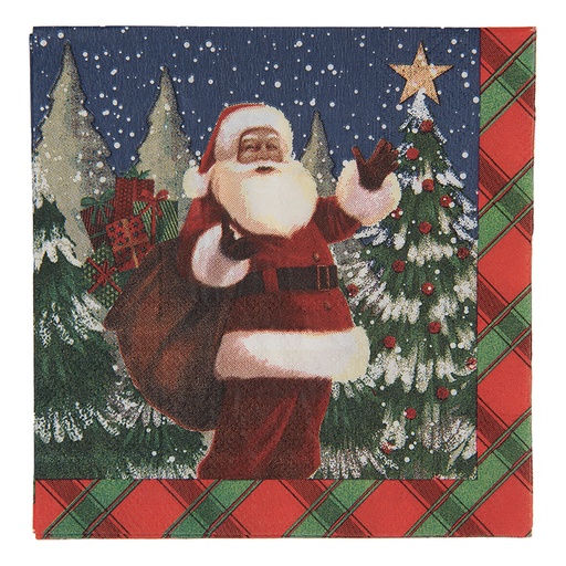 Papieren servetten 25x25 cm (20)