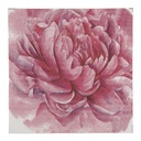 Papieren servetten 33x33 cm (20)
