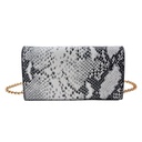 Tas 18x10x5 cm / Ø 13 cm zilverkleurig