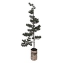 Decoratie boom met LED 30x35x100 cm / 3xAAA