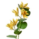 Rami Artificiali Decorativi con fiori Giallo Verde 18x10x80 cm