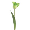 Decoratie tak met bloemen 61 cm