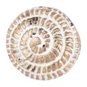 Pomello per Porta Marrone Beige Ø 4x4 cm / S3 cm