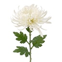 Decoratie tak met bloemen 76 cm