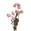Decoratie tak met bloemen 14x14x120 cm