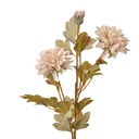Decoratie tak met bloemen 9x9x68 cm