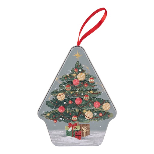 Blik 10x13x6 cm