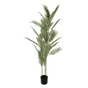 Decoratie kunstplant palm 25x25x180 cm
