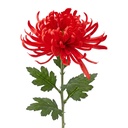 Decoratie tak met bloemen 76 cm