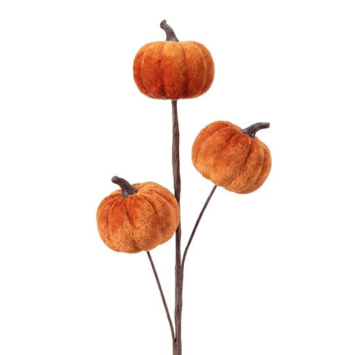 Decoratie pompoen 15x4x47 cm