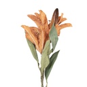 Decoratie tak met bloemen 12x16x88 cm