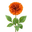 Decoratie tak met bloemen 65 cm