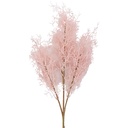 Decoratie tak 72 cm