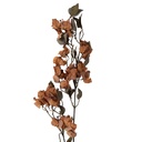 Decoratie tak met bloemen 12x15x110 cm