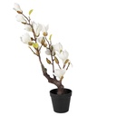 Decoratie Magnolia boom 16x14x60 cm