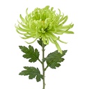 Dekorativer Zweig mit Blumen Grün 76 cm